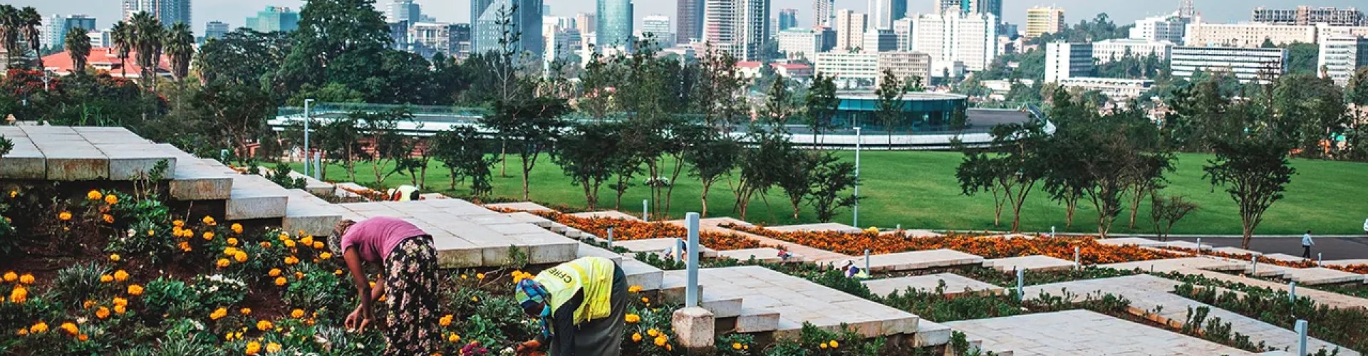 Addis Ababa, ET