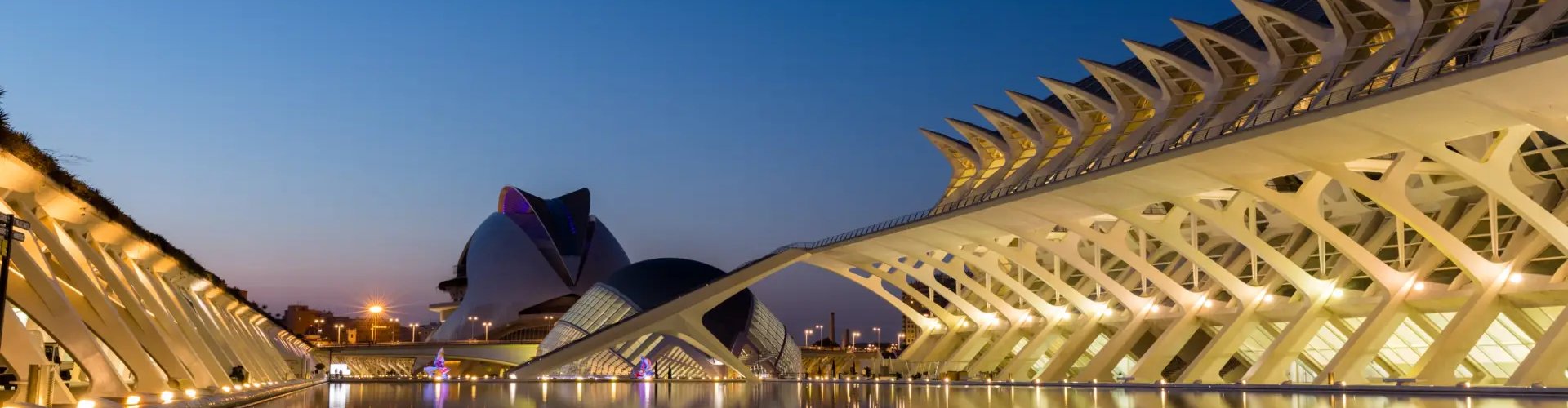 Valencia night skyline