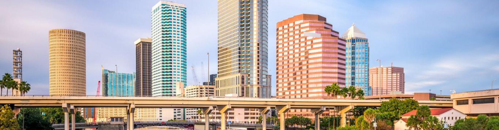 Tampa night skyline