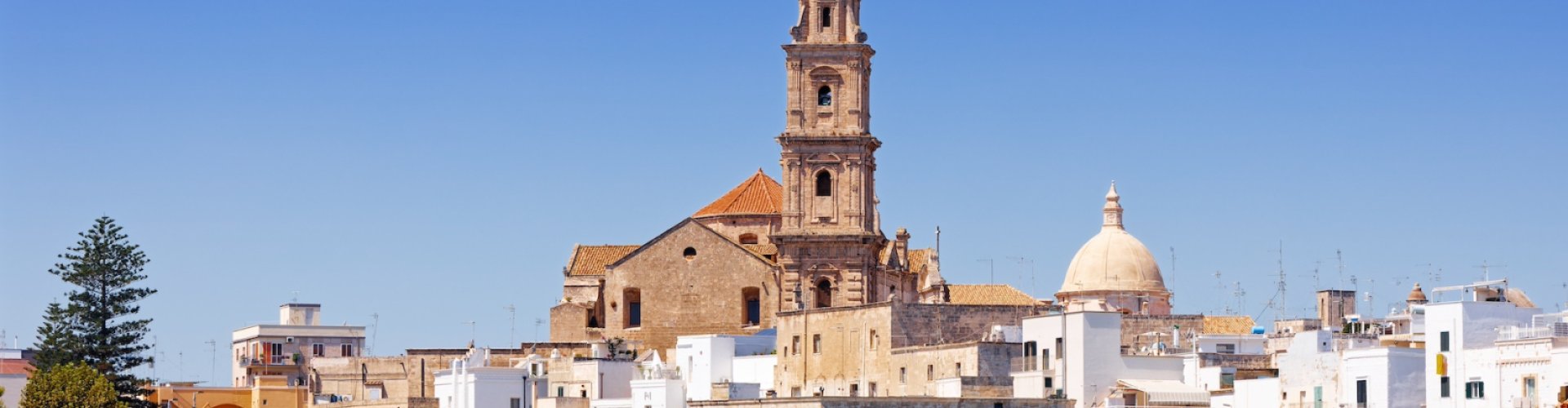 Monopoli, IT