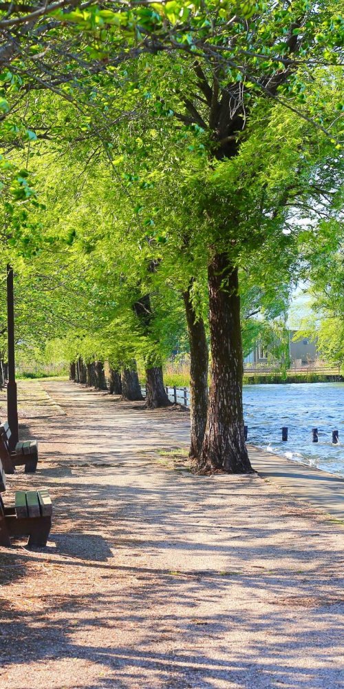 Coral Springs Driving Rules