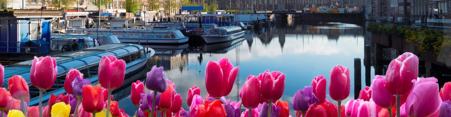 City streets of Amsterdam, NL