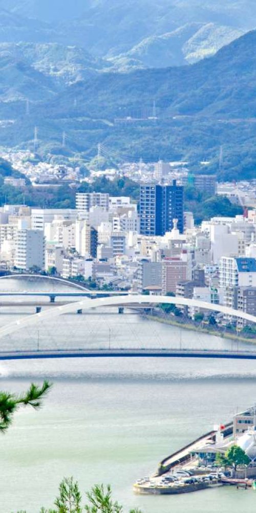 Local driving scene in Kochi