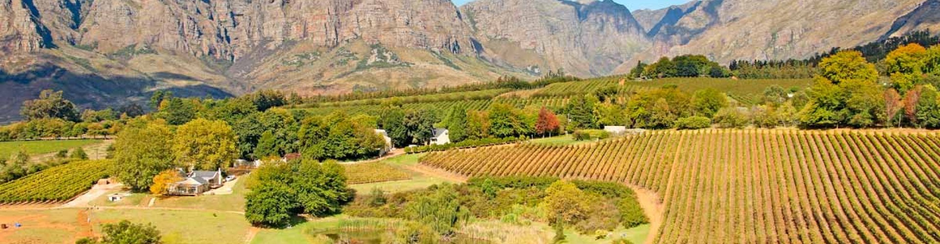 Stellenbosch Night Skyline