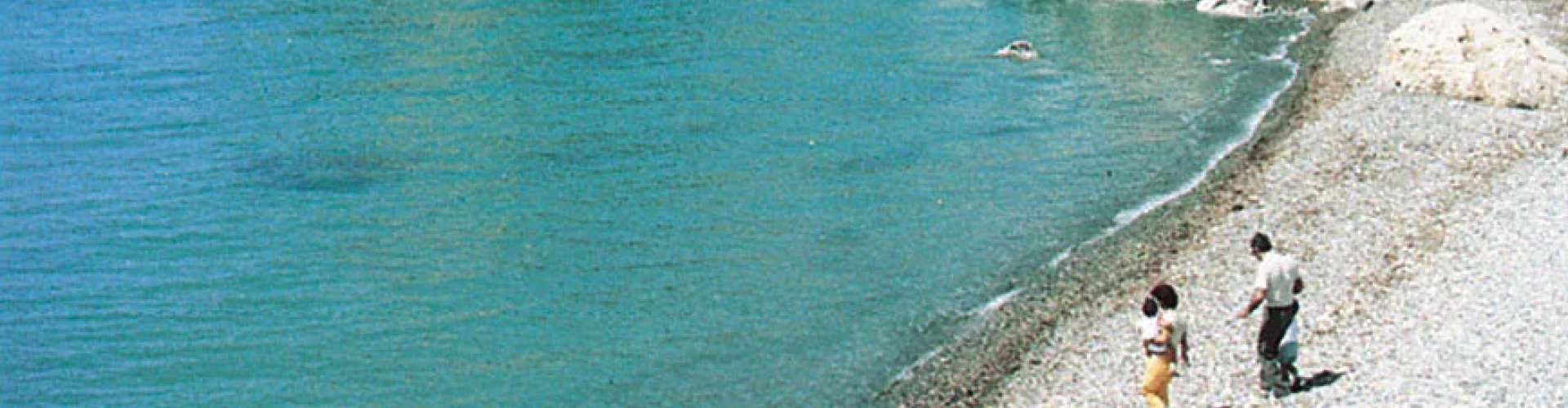 Paphos night skyline