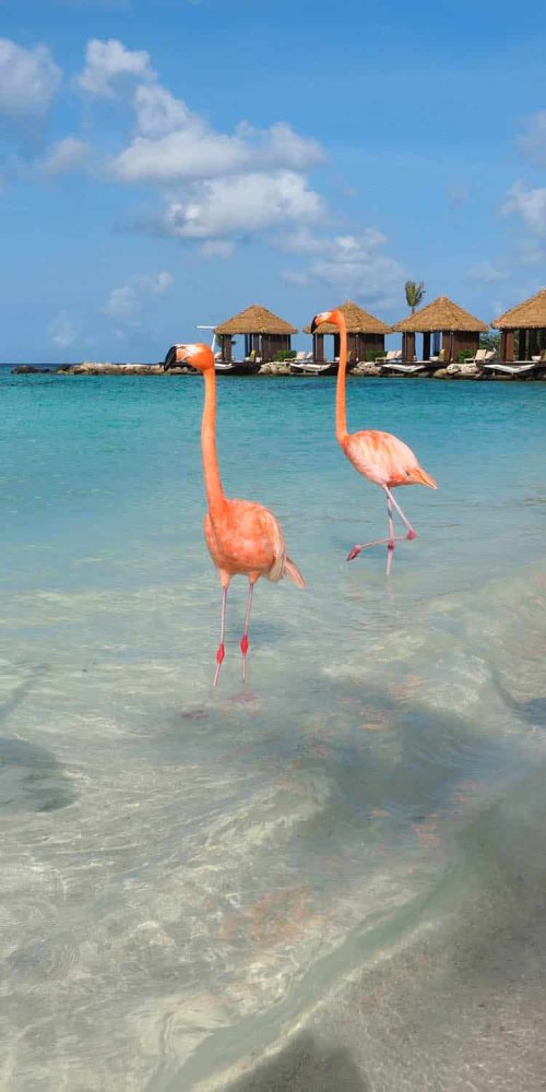 Driving in Aruba