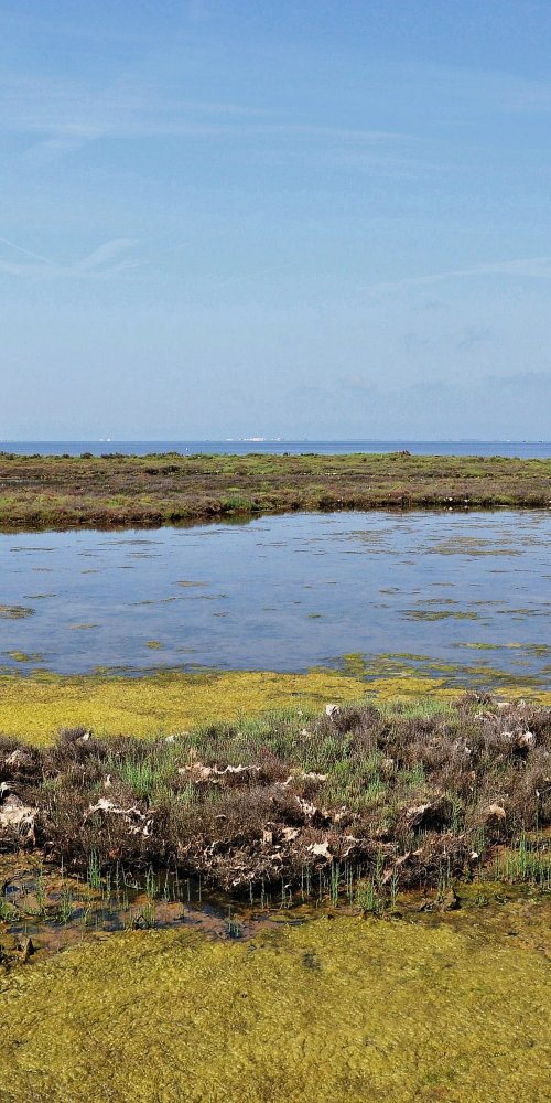 Driving in Amposta, ES