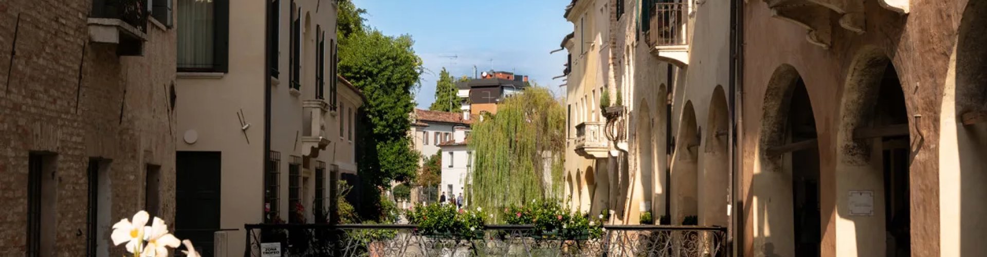 Treviso night skyline