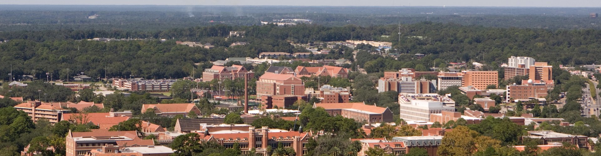 Tallahassee night skyline