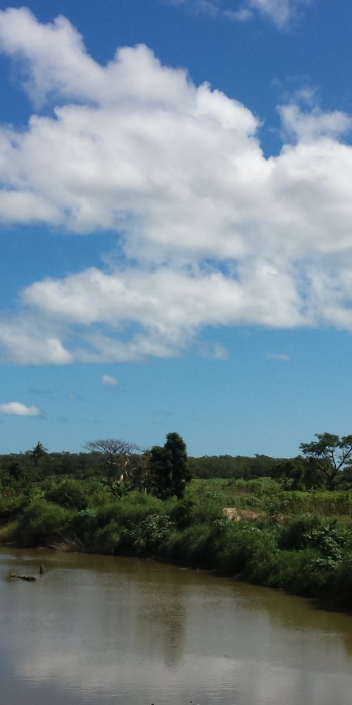 Driving in Nadi