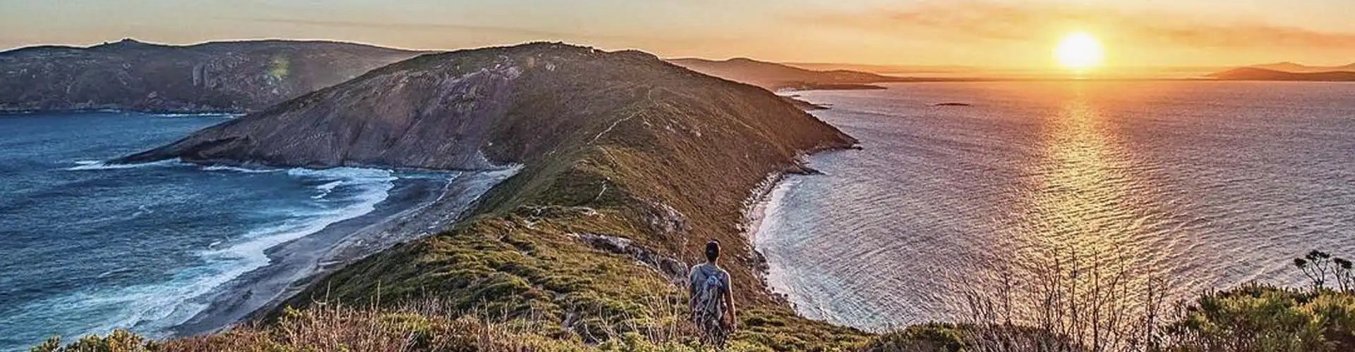 Albany night skyline