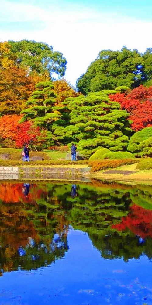 Tokyo Driving Rules and Map