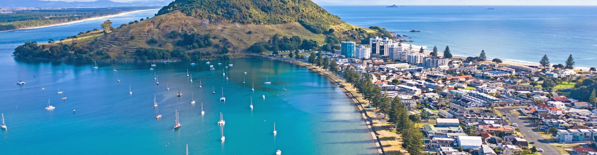 Night skyline of Tauranga, NZ