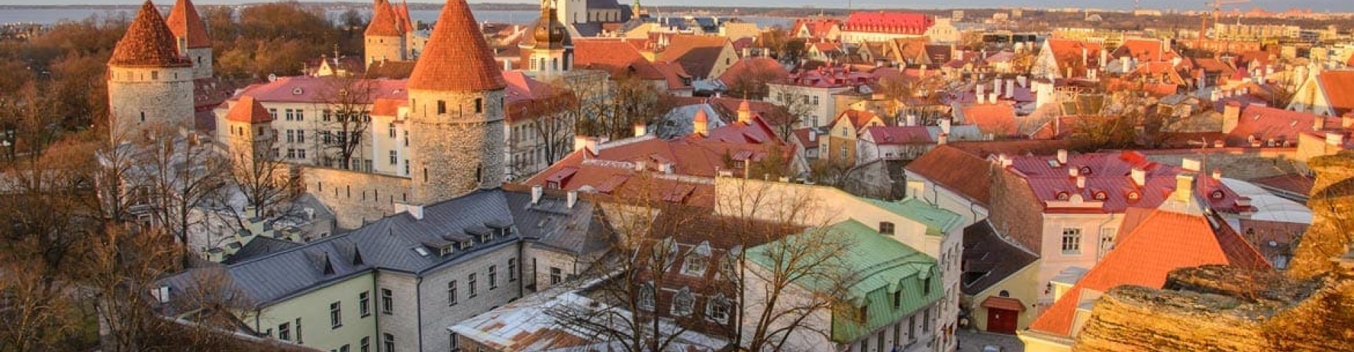 Tallinn night skyline