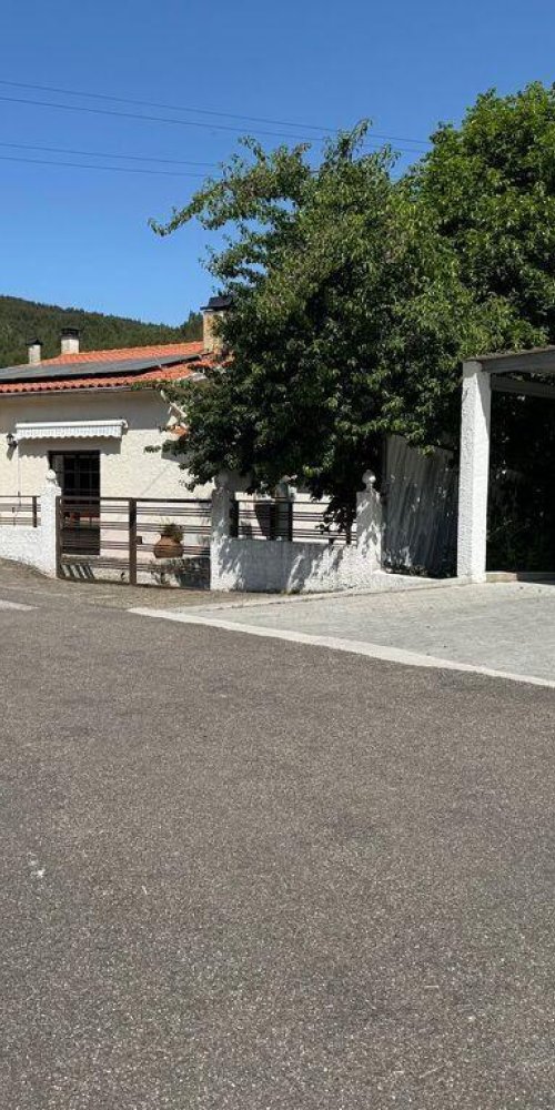 Driving in Madeirã, PT